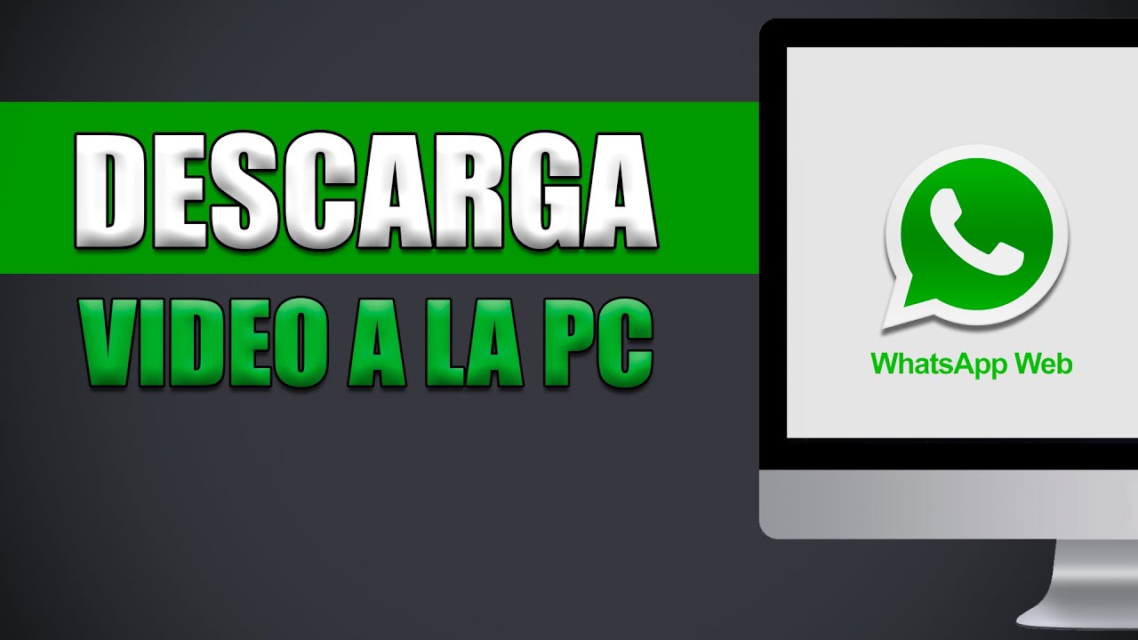 Como baixar vídeo do WhatsApp Web de forma simples e rápida 1 como baixar video whatsapp web