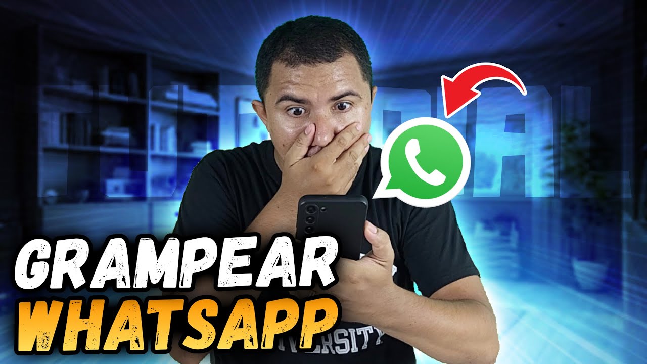 Como descobrir se o WhatsApp tem como grampear suas conversas? 1 whatsapp tem como grampear